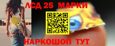 гидропоника Дубна