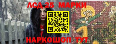 гидропоника Дубна