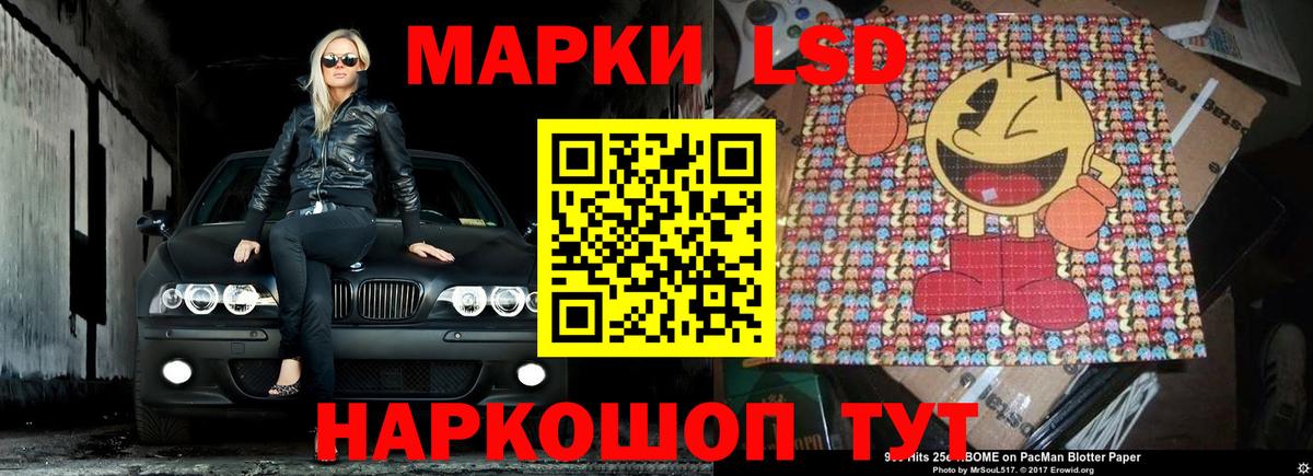 Курчалой  Лсд 25 экстази ecstasy  Вход с VPN  LSD-25 экстази кислота 