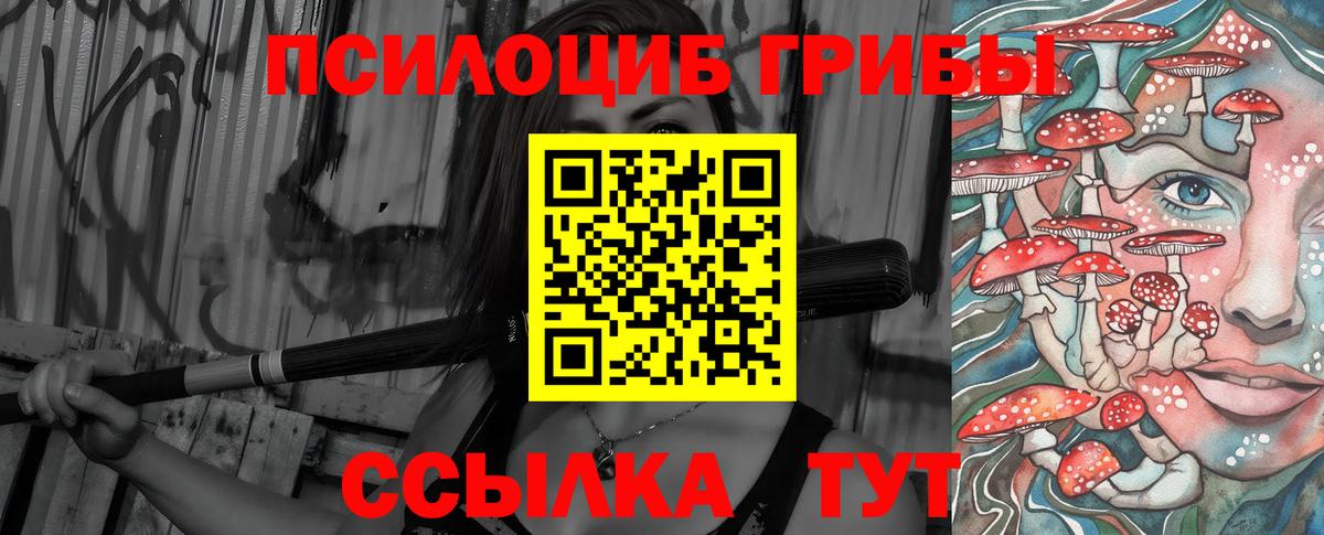 Псилоцибиновые грибы ЛСД  Вход с VPN  Галлюциногенные грибы мухоморы  Курчалой 