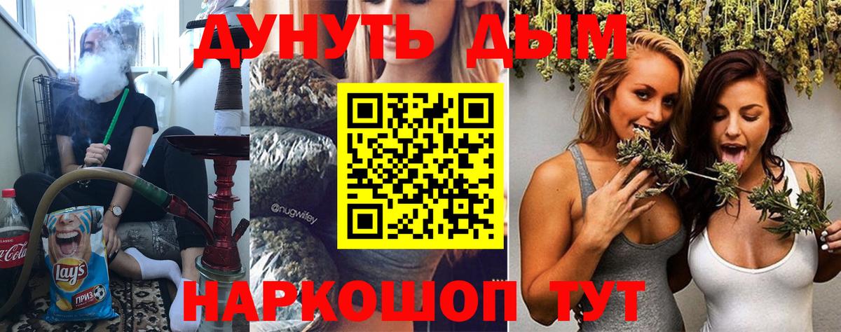 Каннабис сатива Курчалой